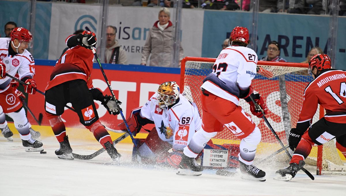 Hockey sur glace : les Brûleurs de Loups réalisent l'exploit en s'imposant à Bremerhaven, en Allemagne (8-5)