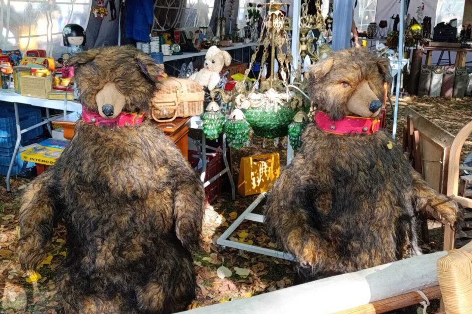 Des ours quelque peu défraichis...