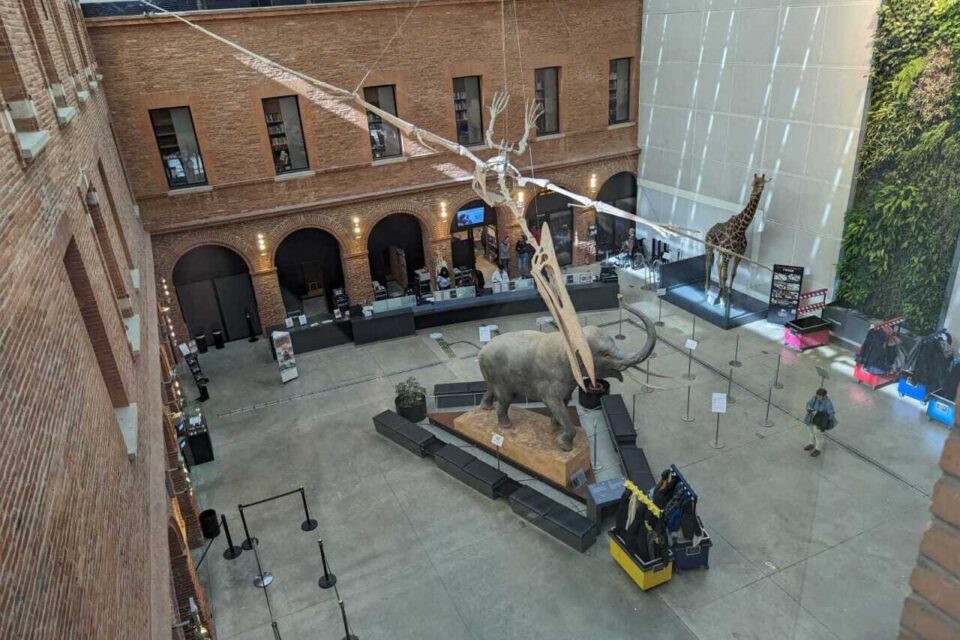 Le Muséum de Toulouse propose plusieurs rendez-vous pour Halloween.