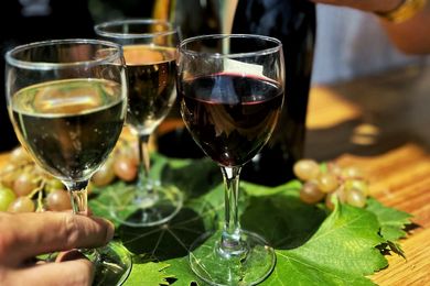 Dégustation et grignotage au programme.