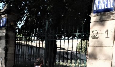 "Des légumes ou du bitume ?" : un projet de résidence à Montpellier provoque l’émotion, les riverains lancent une pétition