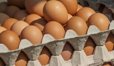 Des œufs ukrainiens dans les supermarchés français ? Leur importation fait polémique, ils contiendraient des antibiotiques interdits en Europe