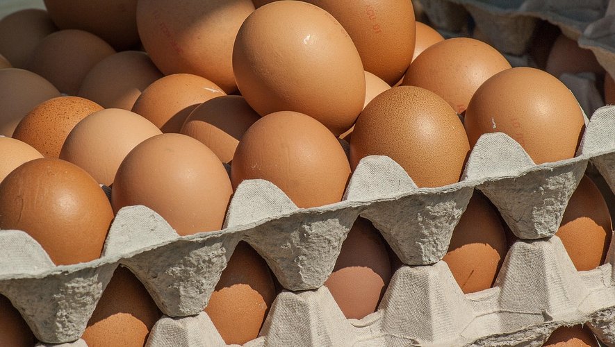 Des œufs ukrainiens dans les supermarchés français ? Leur importation fait polémique, ils contiendraient des antibiotiques interdits en Europe