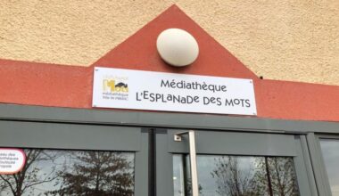 Pibrac. Collecte de vos vieux livres
