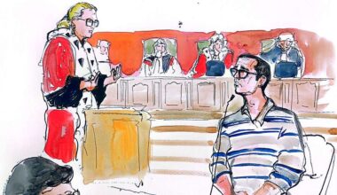 15 ans de réclusion criminelle requis contre Julien Palisca jugé pour viols sur mineurs