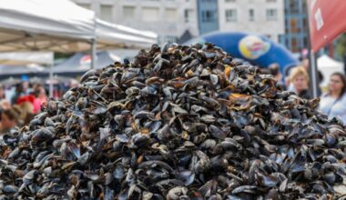 Braderie de Lille ce week-end : comme un air d'été pour le plus grand marché aux puces d'Europe