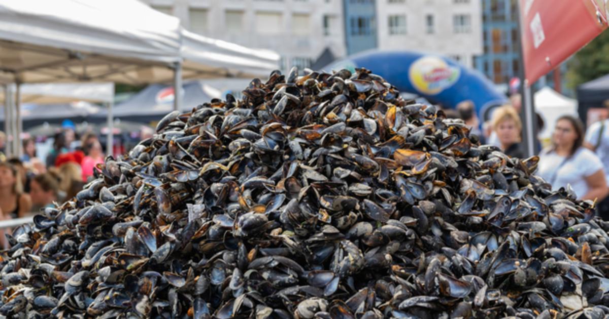 Braderie de Lille ce week-end : comme un air d'été pour le plus grand marché aux puces d'Europe