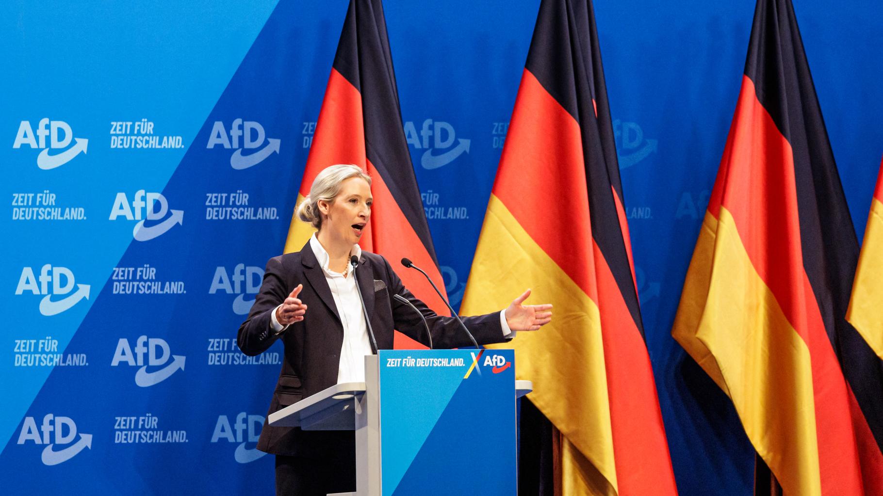 En Allemagne, le parti d’extrême droite AfD secoué par la mort de sept de ses candidats
