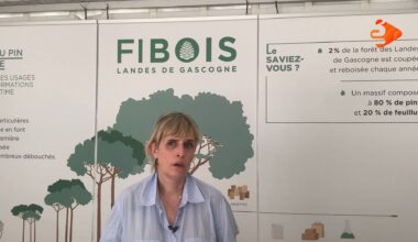 Fibois Landes de Gascogne : « Le matériau bois, c’est le matériau 4.0 » - Premium