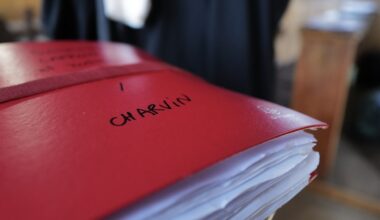 Viols de femmes enceintes par un soignant pendant des consultations à Montpellier : Lionel Charvin est condamné à 14 ans de réclusion