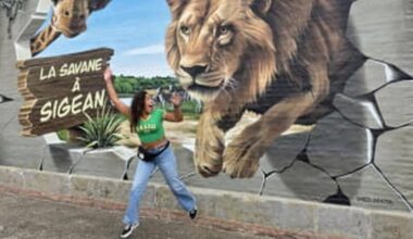 Insolite : avec ces trompe-l'œil spectaculaires, Narbonne se dévoile dans les rues de Toulouse