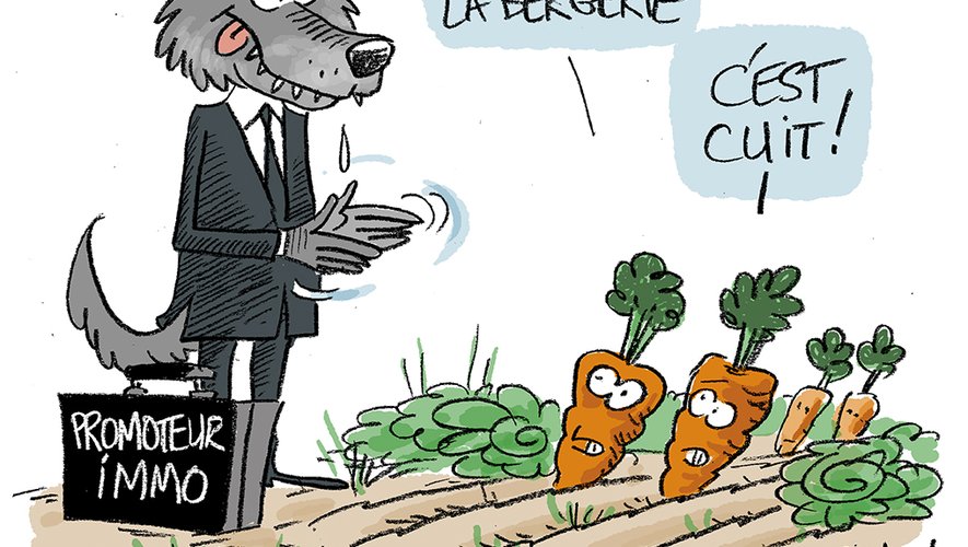 LE DESSIN DE MAN. La Cité Bergère sera-t-elle amputée ? Le croquis de la semaine à Montpellier