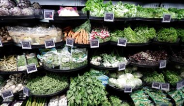 La feuille de route sur l’alimentation bloquée après une réécriture de Matignon sur la consommation de viande