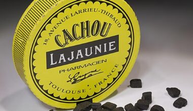 Les Cachous Lajaunie sont introuvables, ce confiseur aimerait relancer la production du bonbon très connu