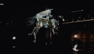 Zeus, le cheval des JO, de retour à la maison
