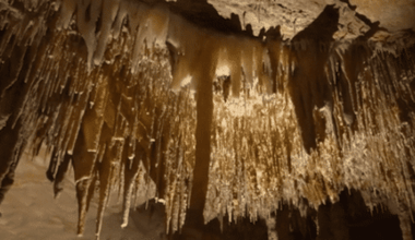 les gardiens du temps dans les causses du Lot