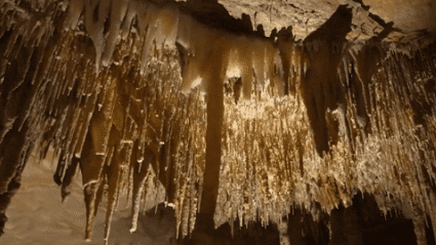 les gardiens du temps dans les causses du Lot