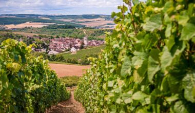 une étude d’ampleur vient confirmer la surexposition des riverains des vignes