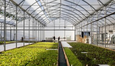 Agriculture urbaine : Les Nouvelles Fermes bouclent une série A pour s’ancrer dans les Yvelines