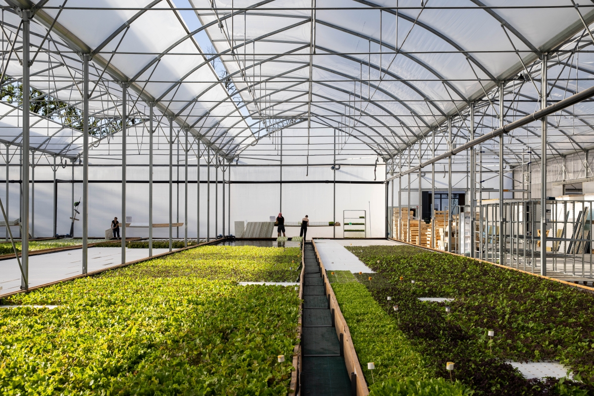 Agriculture urbaine : Les Nouvelles Fermes bouclent une série A pour s’ancrer dans les Yvelines