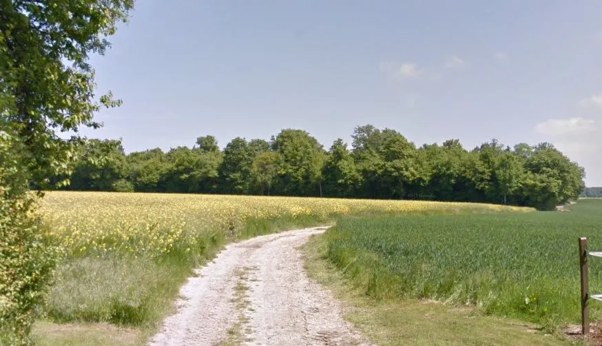 La Seine-et-Marne abrite le point culminant naturel de l’Île-de-France