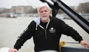 Paul Watson n’a pas obtenu l’asile en France, il était pourtant « confiant »