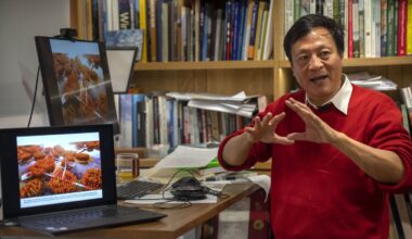 Kongjian Yu, architecte chinois connu pour son concept de "villes éponges", est mort dans un accident aérien au Brésil