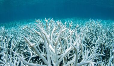 Une septième « limite planétaire » vient d’être franchie, la Terre est en train de devenir inhabitable