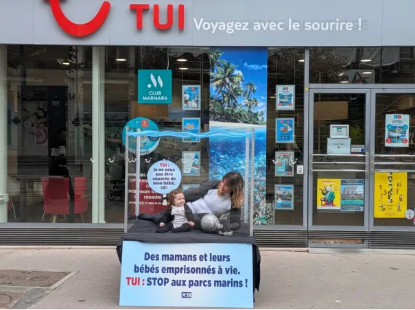 L'association PETA a organisé une action devant TUI ce jeudi