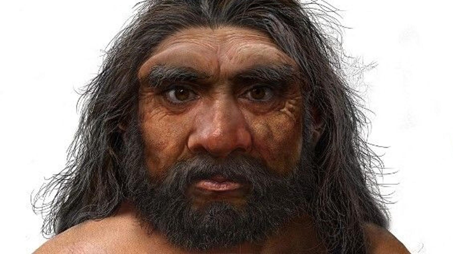 Les connaissances sur Homo sapiens bouleversées par cette étude d’un crâne vieux d’un million d’années