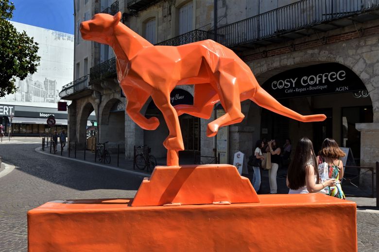 Le léopard orange avait élu domicile sur la place des Laitiers depuis trois mois.