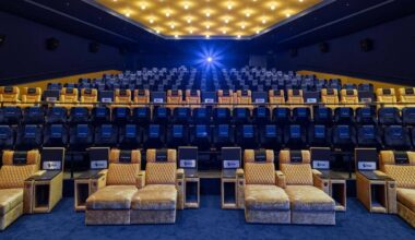 Quand le luxe s’invite dans nos salles de cinéma
