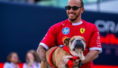 Lewis Hamilton pleure son chien Roscoe, une perte dévastatrice pour le pilote