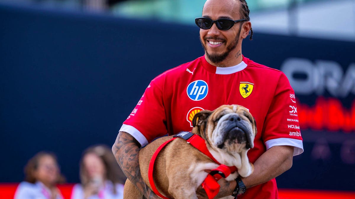 Lewis Hamilton pleure son chien Roscoe, une perte dévastatrice pour le pilote