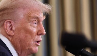 que contient le plan de Donald Trump, accepté par Benyamin Nétanyahou, pour mettre fin au conflit ?