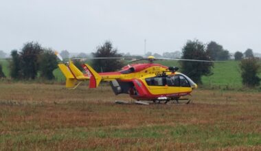 Attaqué et piqué 15 fois par des frelons en Seine-Maritime, un homme a été héliporté au CHU de Rouen