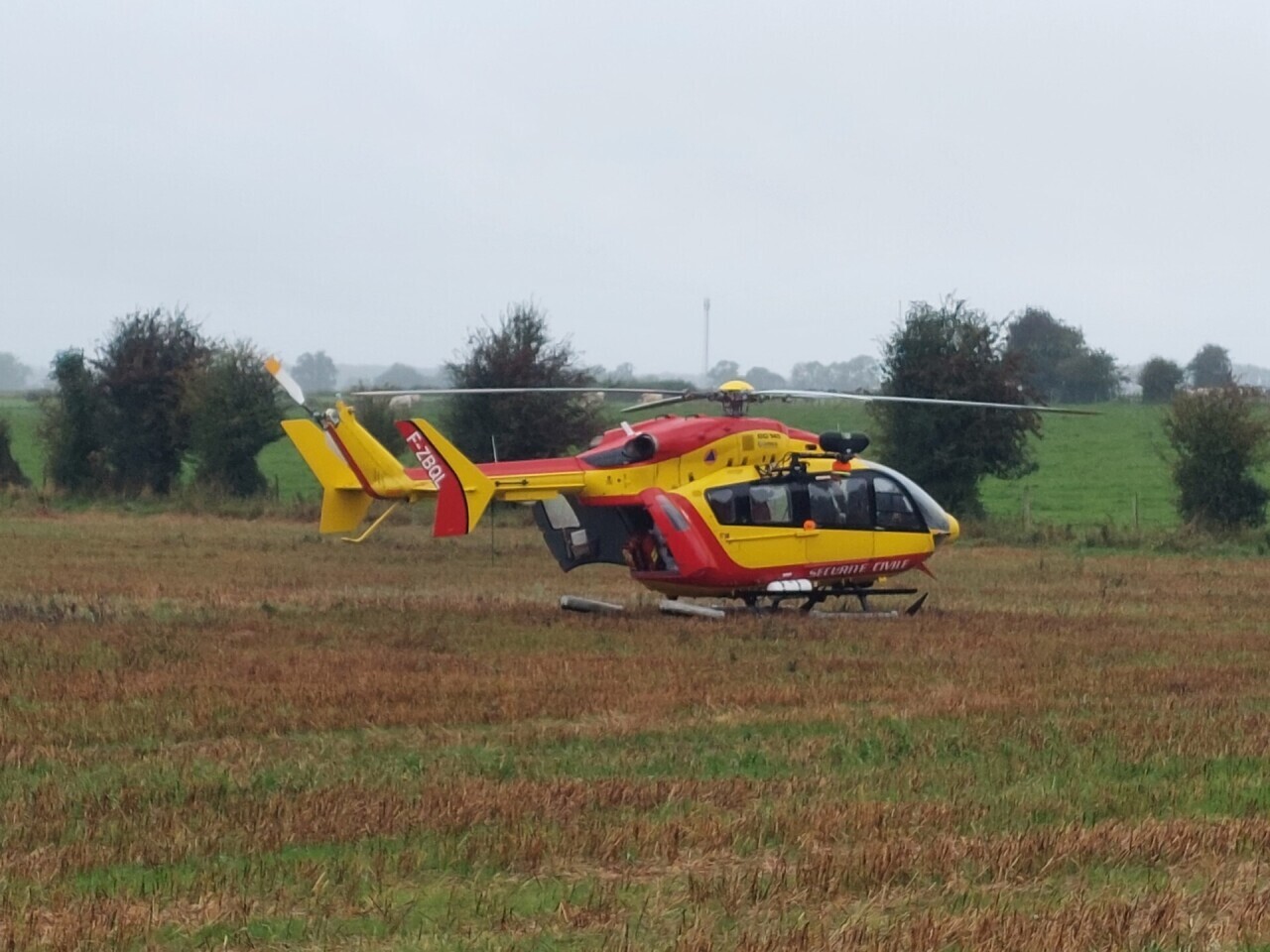 Attaqué et piqué 15 fois par des frelons en Seine-Maritime, un homme a été héliporté au CHU de Rouen
