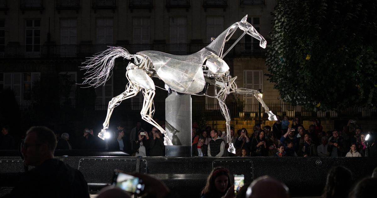 De Paris à Nantes, plus de 1,2 million de personnes ont admiré Zeus, le cheval de la cérémonie d’ouverture des JO