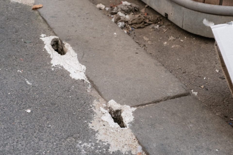 Près des bacs d'ordures ménagères, les rats ont creusé des galeries.