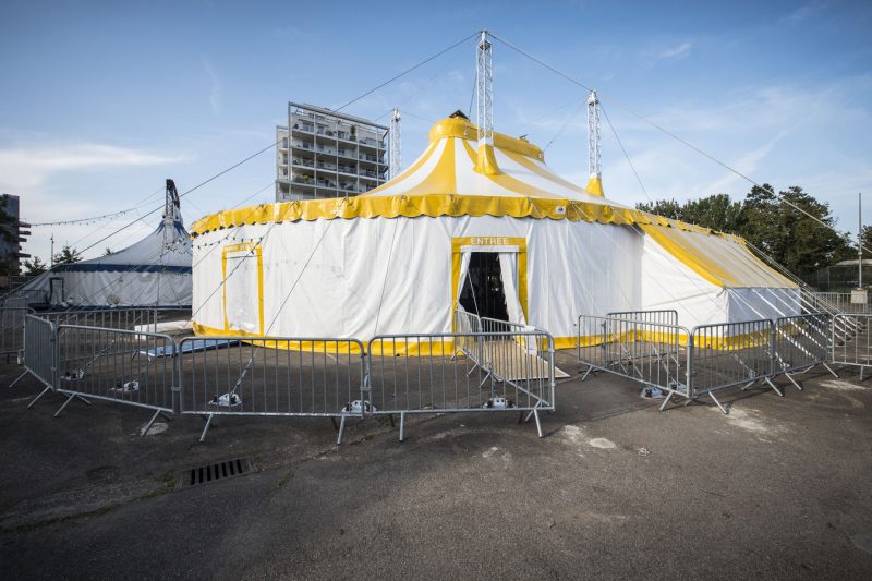 Graine de cirque