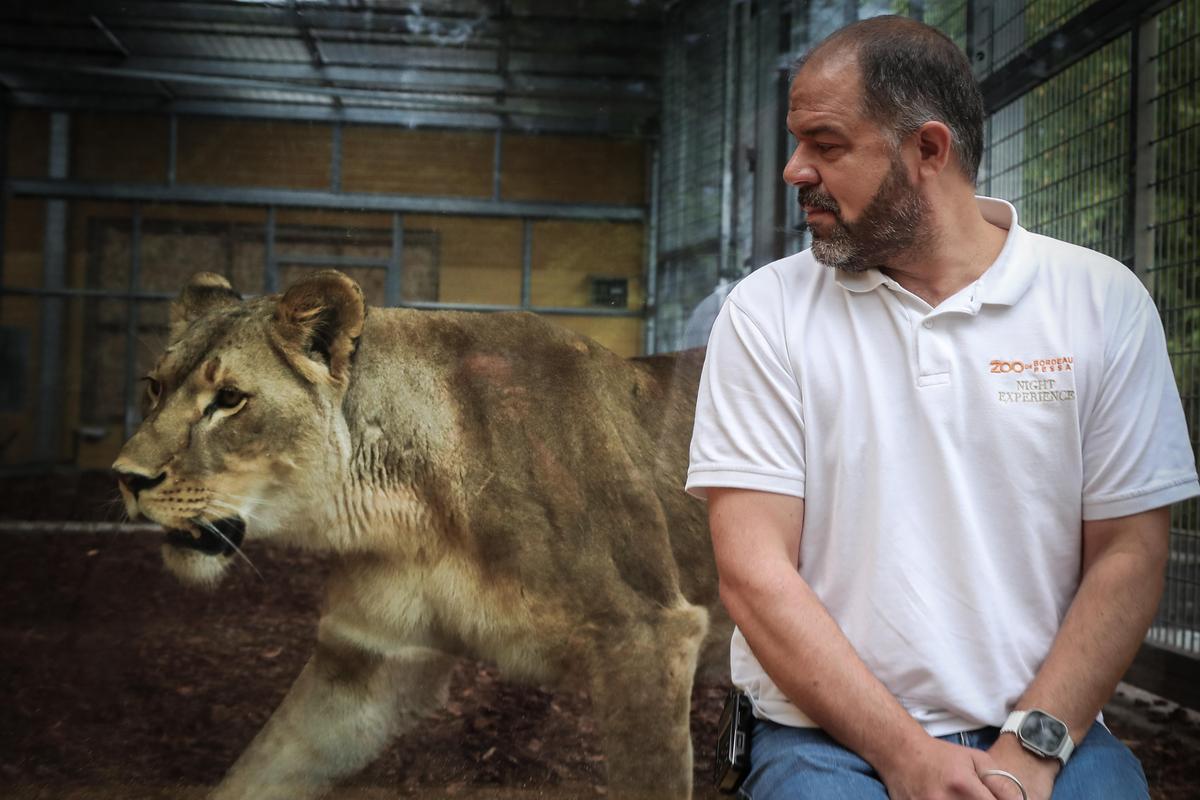 Le zoo de Bordeaux-Pessac est dirigé par Mathieu Danchequin Dorval, directeur depuis 2015 et propriétaire depuis 2018.