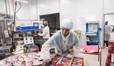 L’usine bordelaise Jock s’attaque au marché de la restauration collective