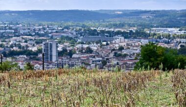« le retour de la nature en ville, c’est aussi celui de la faune sauvage »
