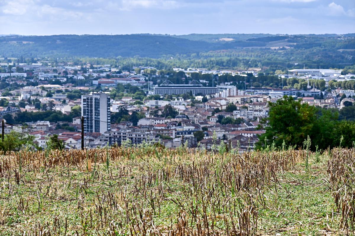 « le retour de la nature en ville, c’est aussi celui de la faune sauvage »