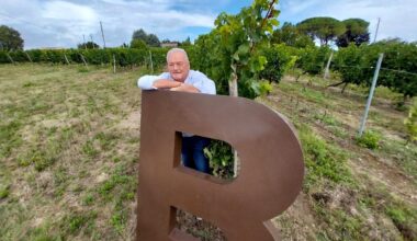 Et si les Bordeaux viraient sous label IGP ?