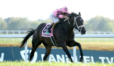Kentucky Downs (Gr.2) : l’envolée d’ Ole Crazy Bone
