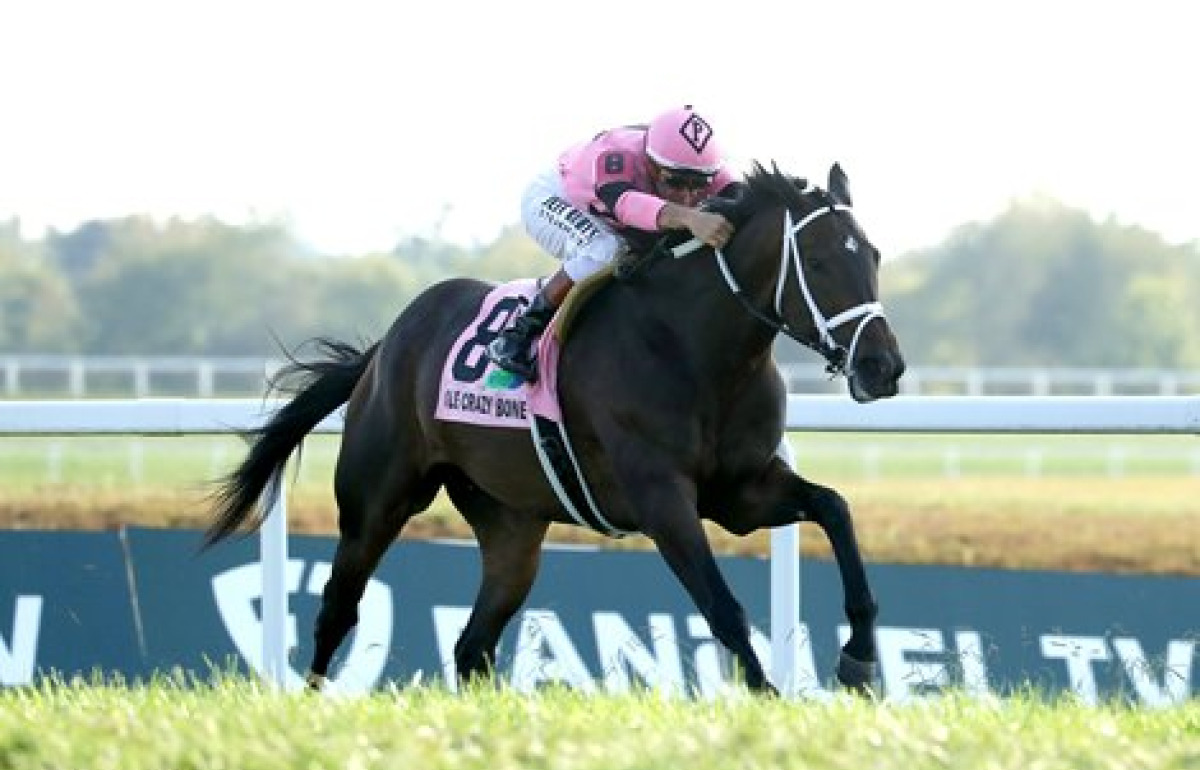 Kentucky Downs (Gr.2) : l’envolée d’ Ole Crazy Bone