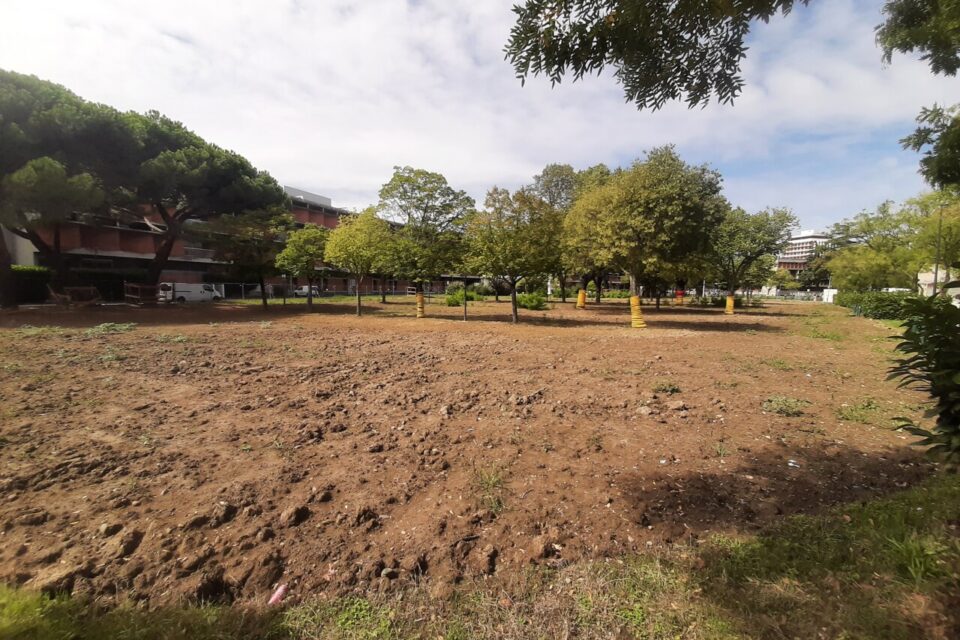 Devant le bâtiment de l'université Toulouse 1-Capitole, le bitume a été enlevé et l'espace remis en pleine terre.