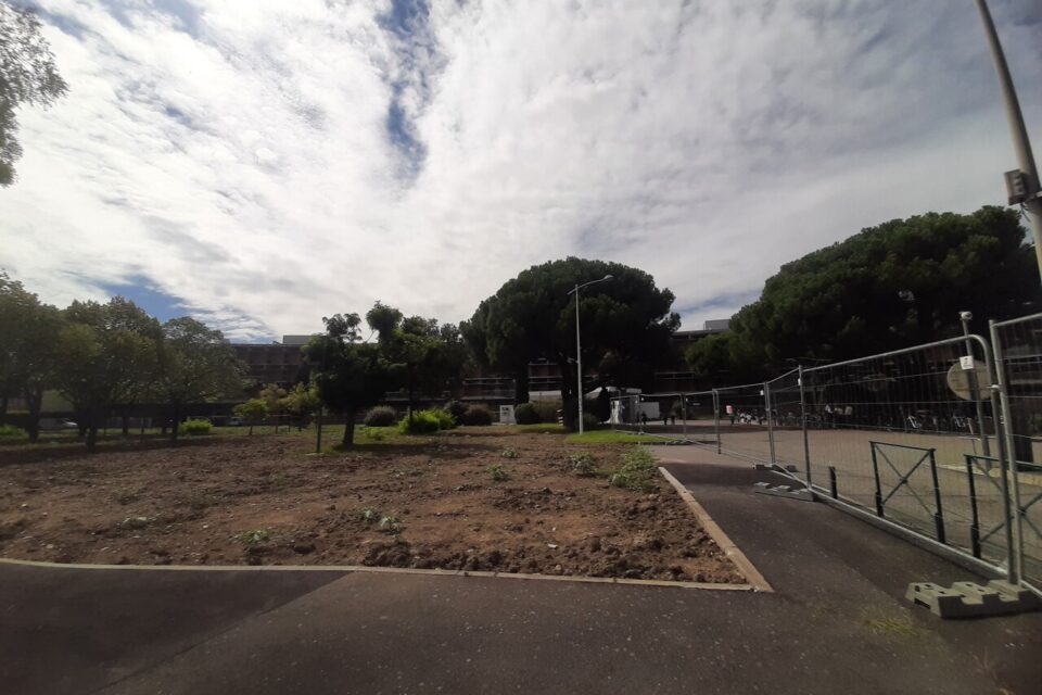 C'est en 2027 que l'aménagement du jardin public de l'université Toulouse 1 Capitole serait inauguré selon le calendrier annoncé.