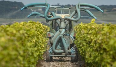 le député vert bordelais veut une loi pour écarter les pesticides des habitations